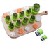 Fruit/Vegetable/Cookie Cutter