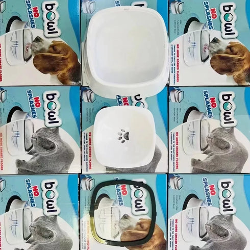 main-image-6