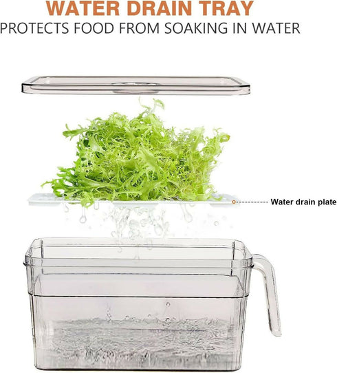 2 Pack Plastic Food Storage Produce Containers with Lid for Fridge - Transparent