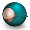 Pet Hair Removal Washable Reusable Lint Roller Ball - green
