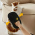 Pet Static Hair Remover Gloves, Cat Hair Remover Brush, Hair Remover