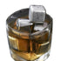 Stainless Steel Ice Cube