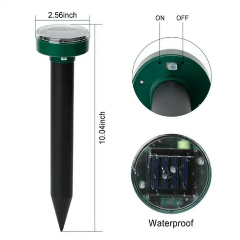 main-image-5