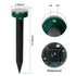 main-image-5