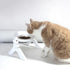 Dual Purpose Adjustable Pet's Water And Feeding Bowl AJ-12 - WooTech Online Shopping In SA