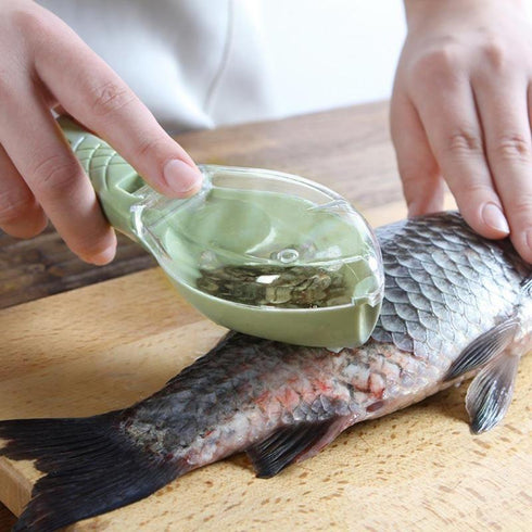 Fish Scale Scraper With Cover - WooTech Online Shopping In SA