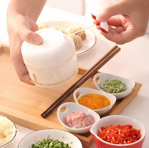 High Quality Mini Mini Garlic Crusher Vegetable Chopper Meat Grinder - WooTech Online Shopping In SA