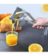 Manual Fruit Presser - WooTech Online Shopping In SA