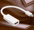 Mini Display Port To HDMI Adapter Female - WooTech Online Shopping In SA