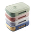 Egg Storage box
